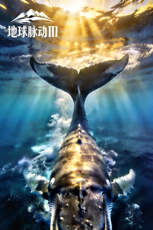 纪录片《地球脉动III》剧照，海洋中座头鲸的壮观画面
